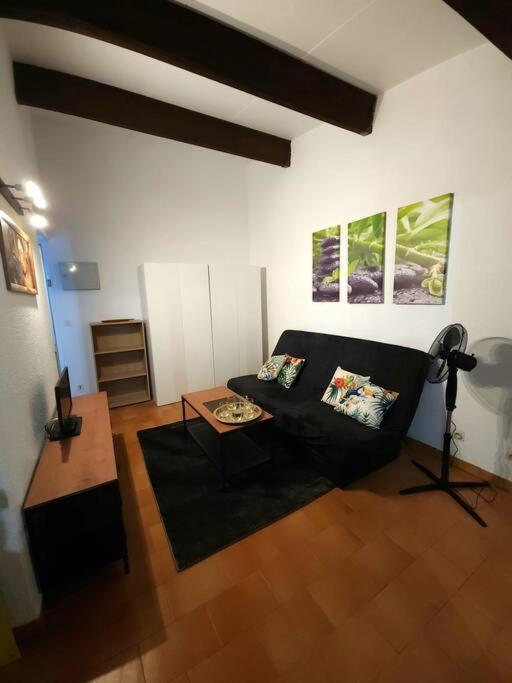 A 8 Mn A Pied Des Plages Appartement Avec Piscine Et Tennis Argeles-sur-Mer Ngoại thất bức ảnh